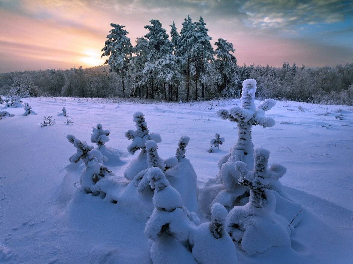 , Клековкин Алексей