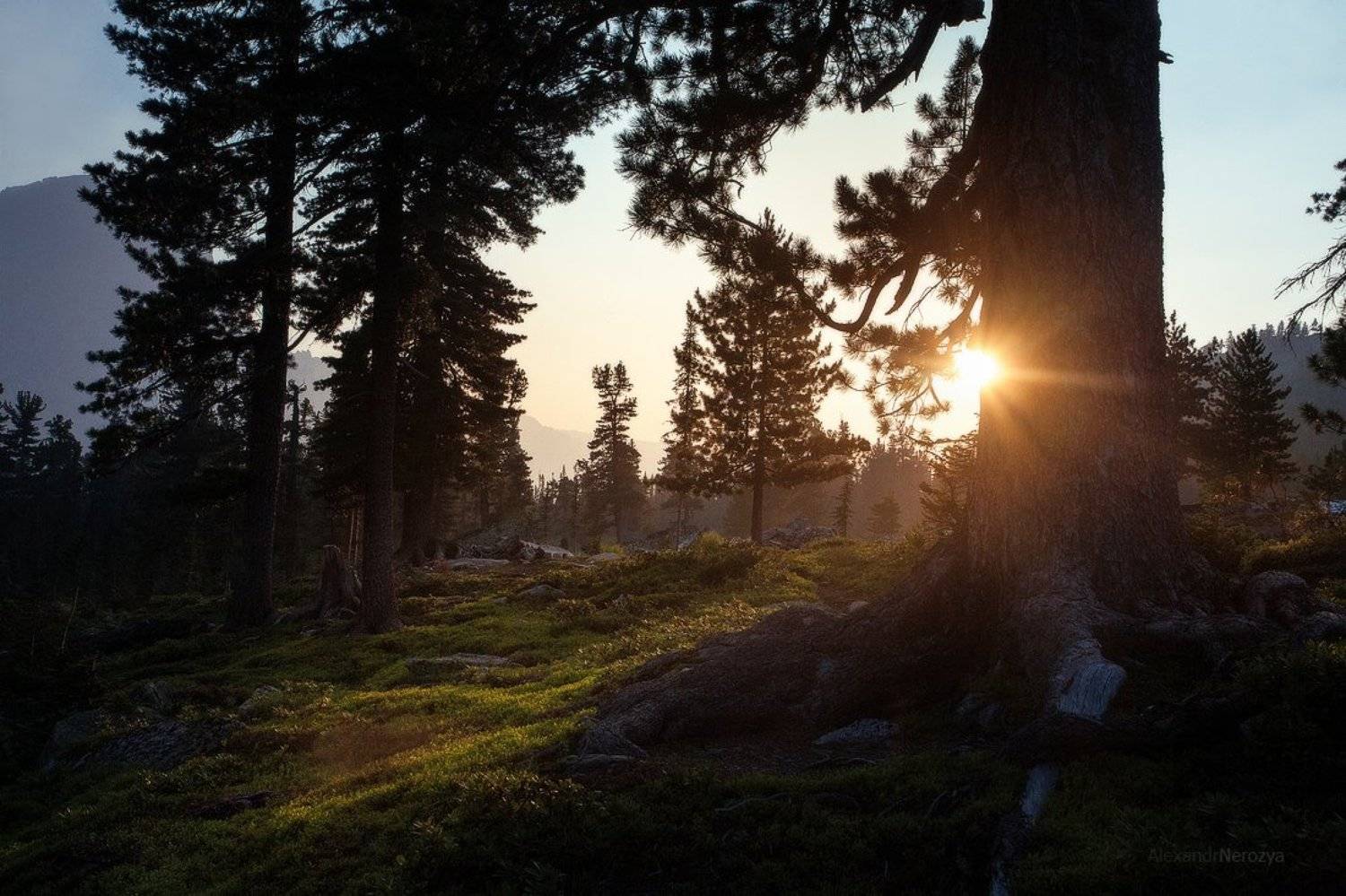 горы, ергаки, закат, лазурное, лес, озеро, пейзаж, россия, саяны, сибирь, тайга, Александр 'Horimono' Нерозя