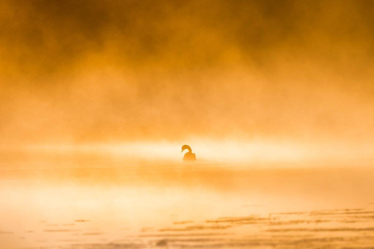 , Сергей Овчинников
