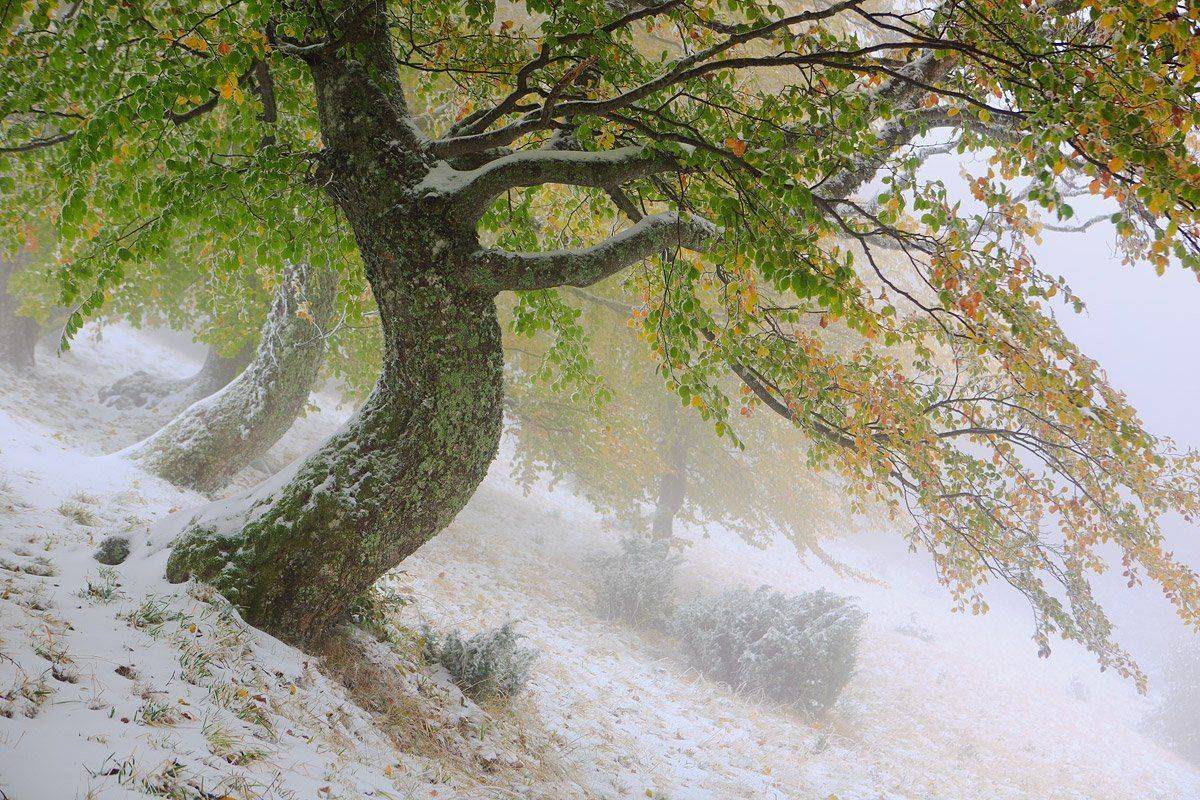 , Виталий Ра