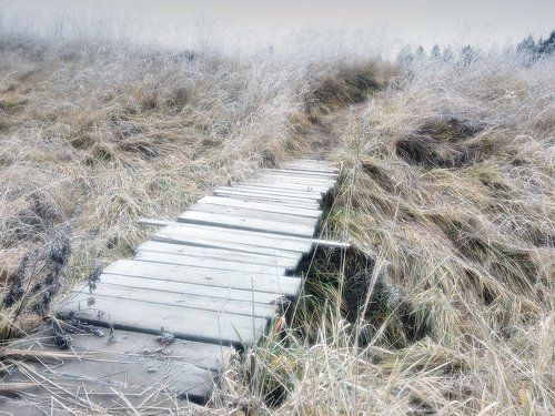 На пути в сказку...