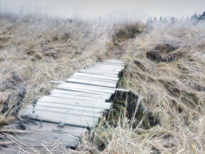 Иней, трава, мостик, тропа На пути в сказку... фото превью