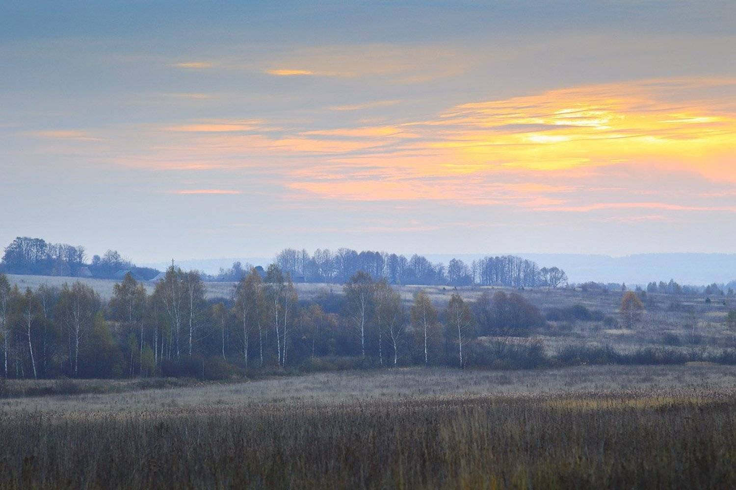 , Дмитрий Алексеев