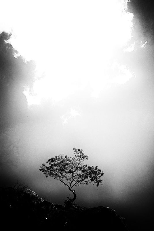 Стремление к свету фото превью