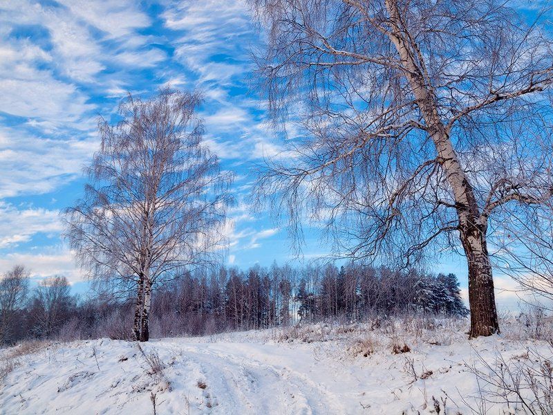 *** фото превью