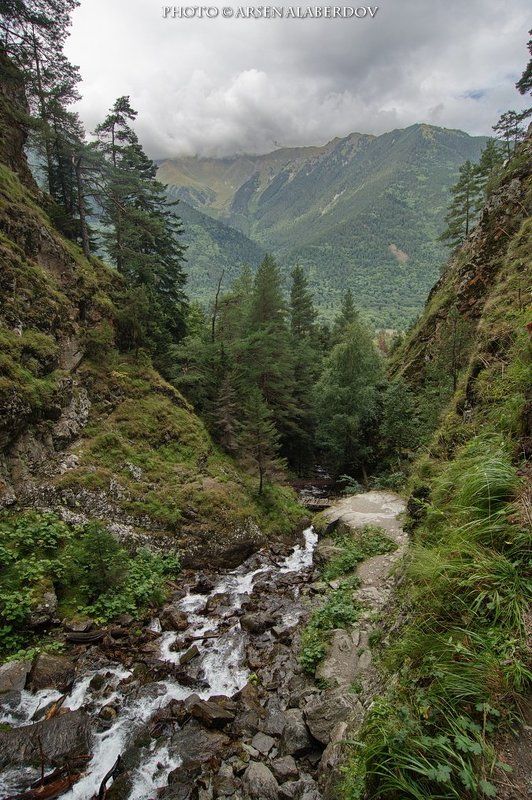 ВИД НА РЕКУ ШУМКА фото превью