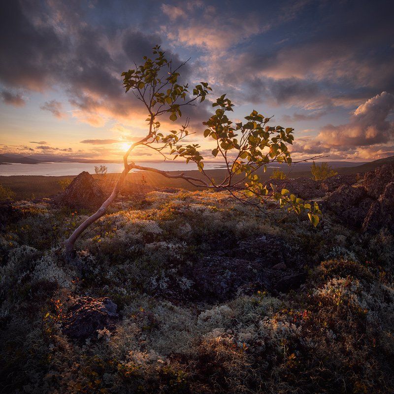 хибины, hibiny, кольский крайняя фото превью
