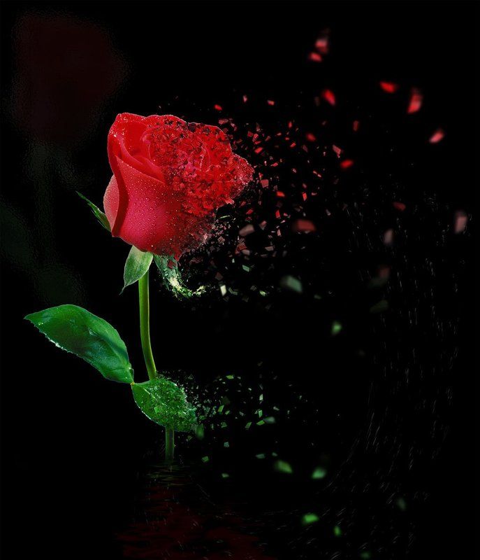 I believe in love фото превью