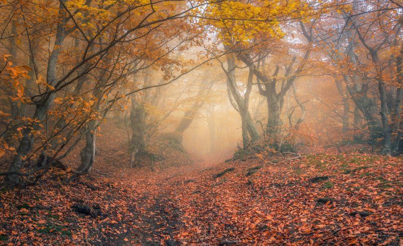 * * * фото превью