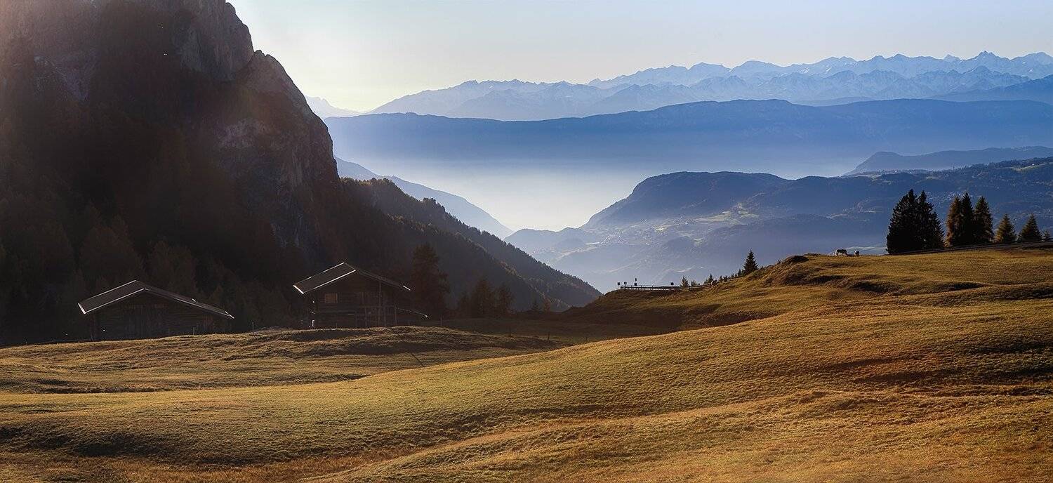 , Игорь Дубровский