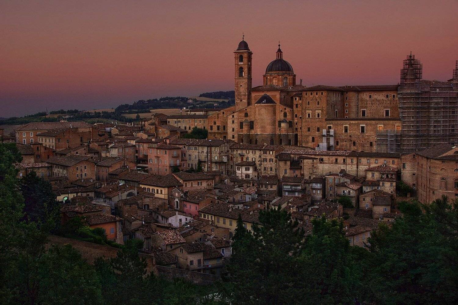 Италия, Урбино, Петр Косых