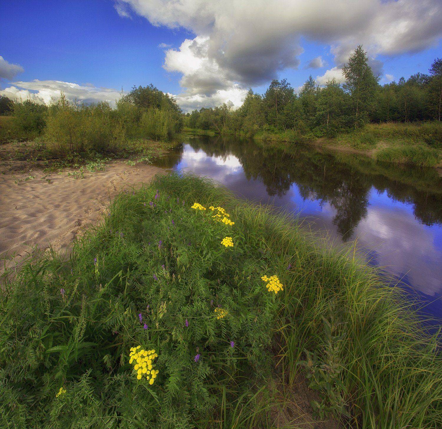 , Поташев Александр