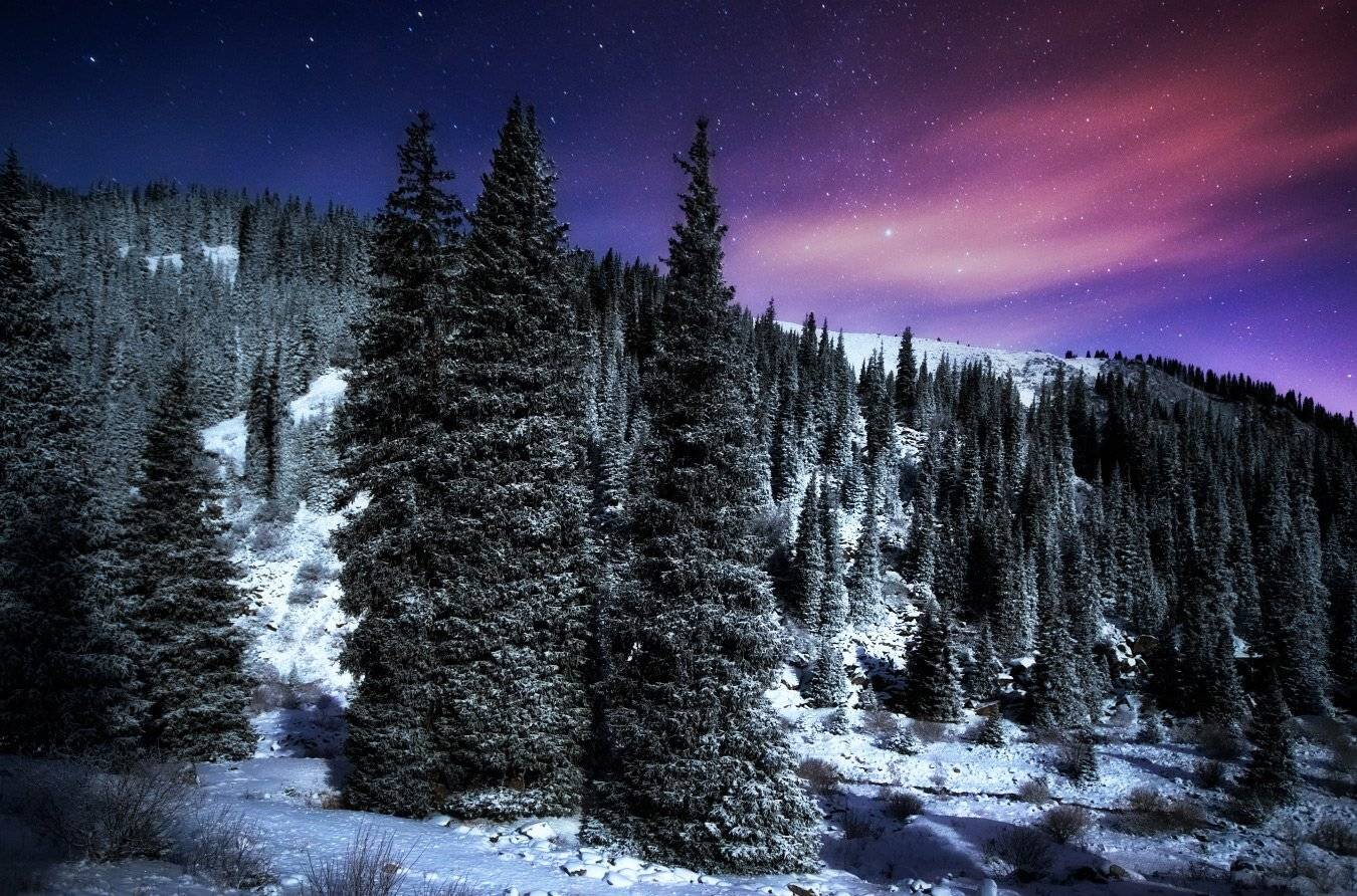 Большое алматинское ущелье, Звезды, Ночь, Осень, Ольга Кулакова