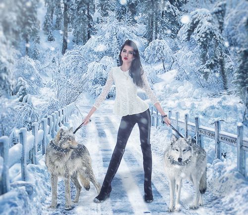 Зимняя легенда