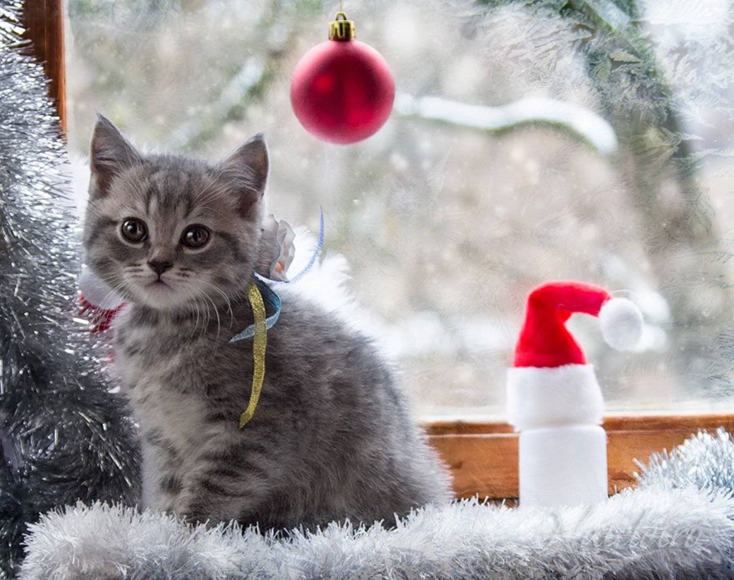 , Наталья Кузнецова (Nateletro)