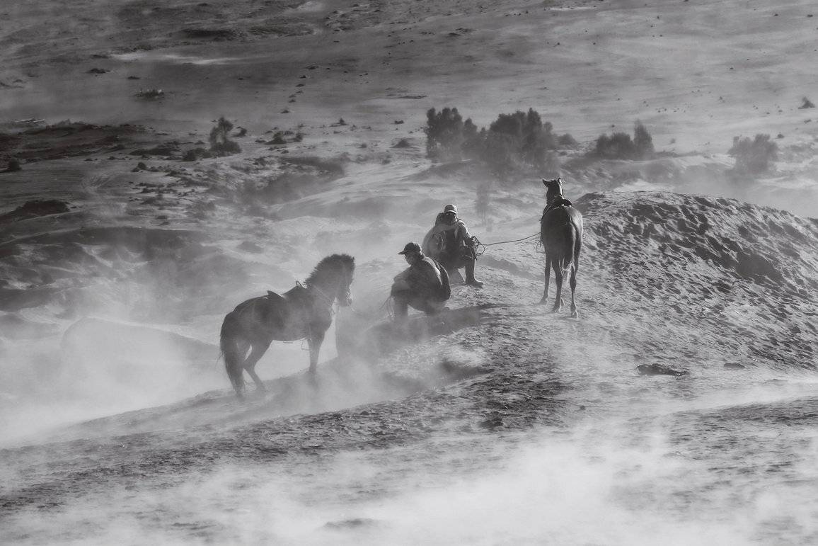 Ветер, Лошади, Песок, Привал, Пыль, Скакуны, Степь, ALLA SOKOLOVA