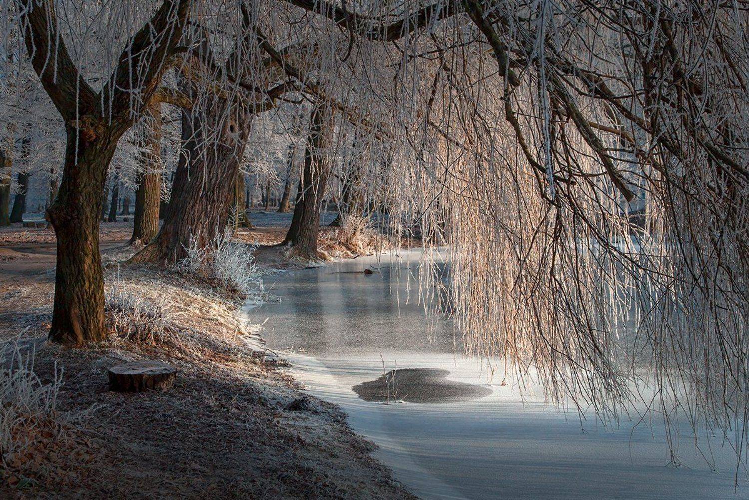 , Владимир Князев