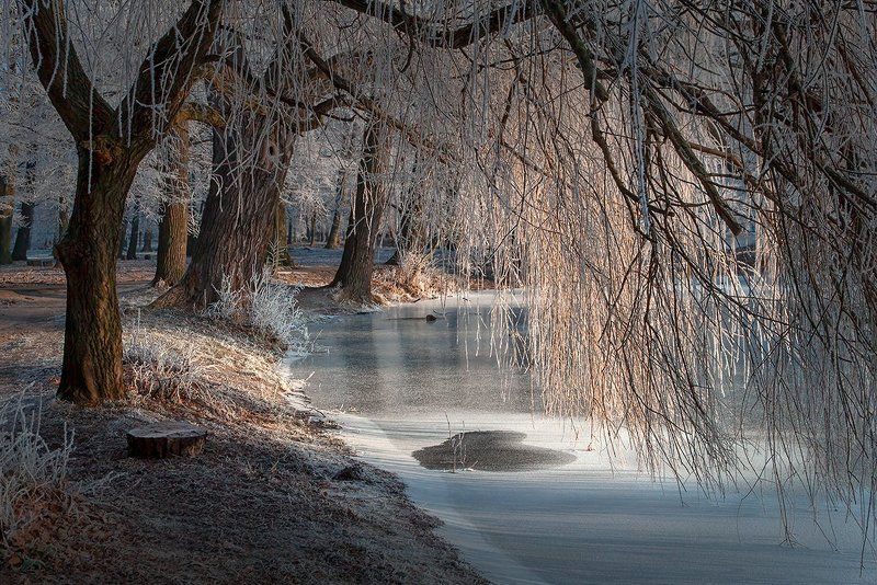 декабрьская сказка фото превью