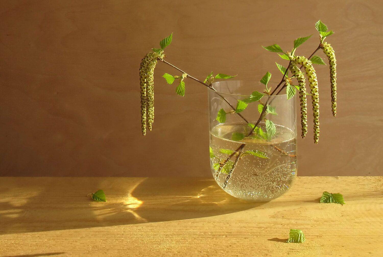 , ТАТЬЯНА ЗАХАРОВА