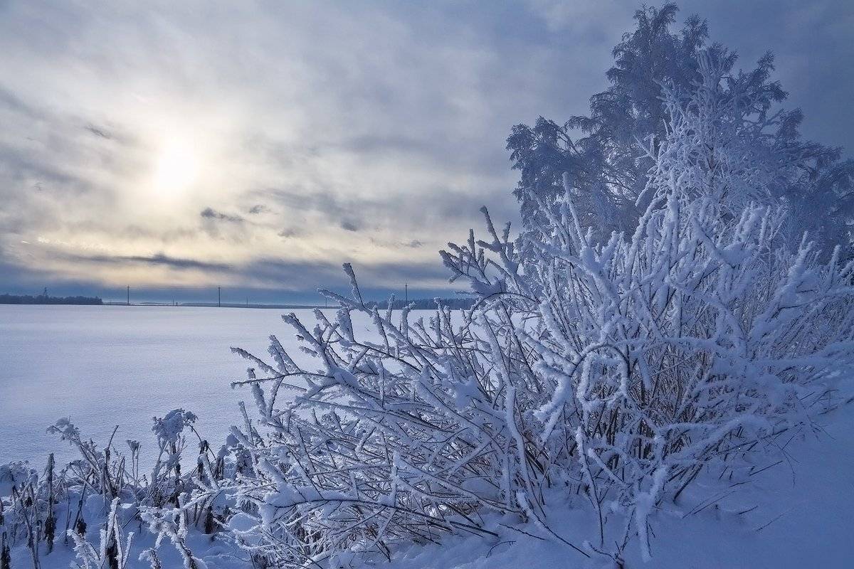 , Николай Морский