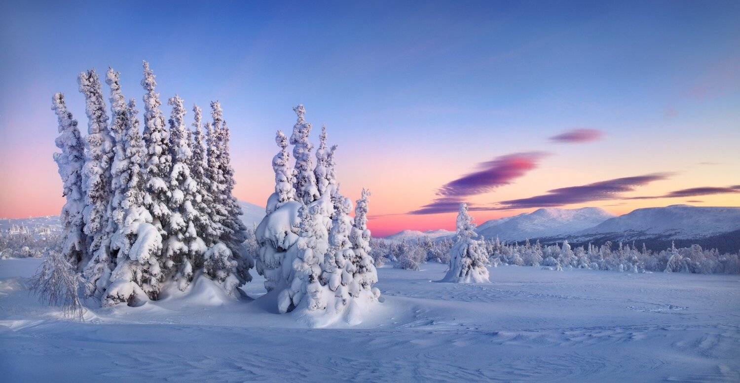 , Сергей Макурин