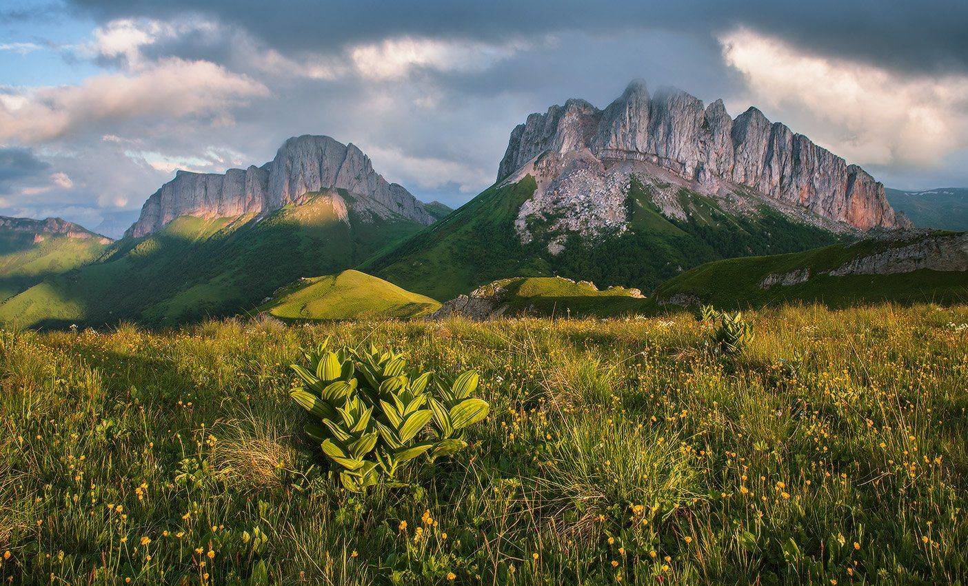 , Николай Мысливцев