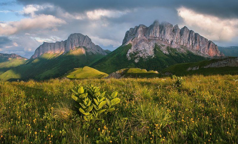 ВСПОМИНАЯ ЛЕТО. АЧЕШБОЧЬЕ. фото превью