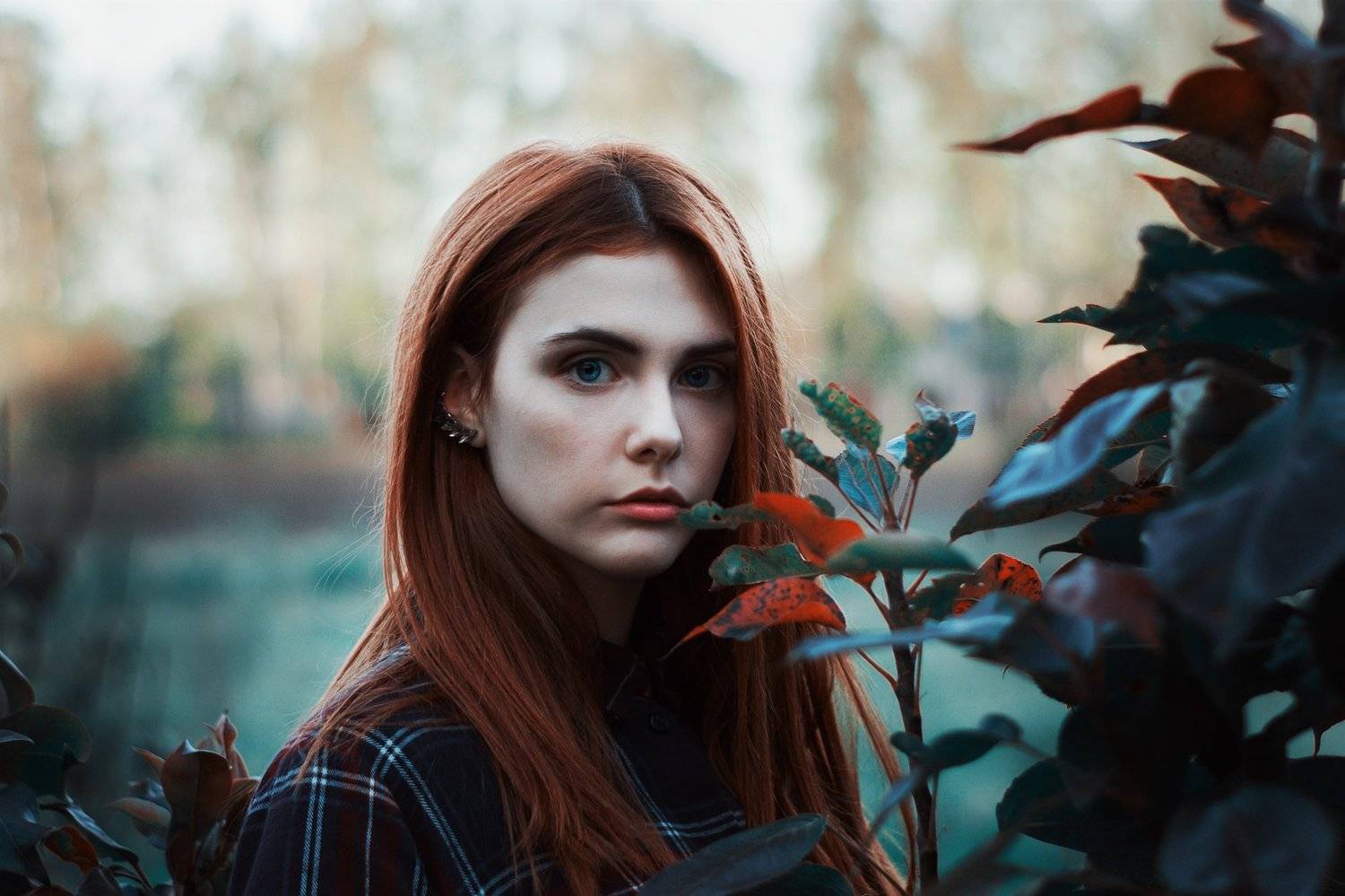 Автор: Лана Никонова , Лана Никонова