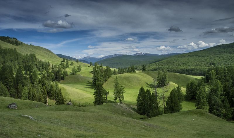 Алтай Улаганское нагорье фото превью