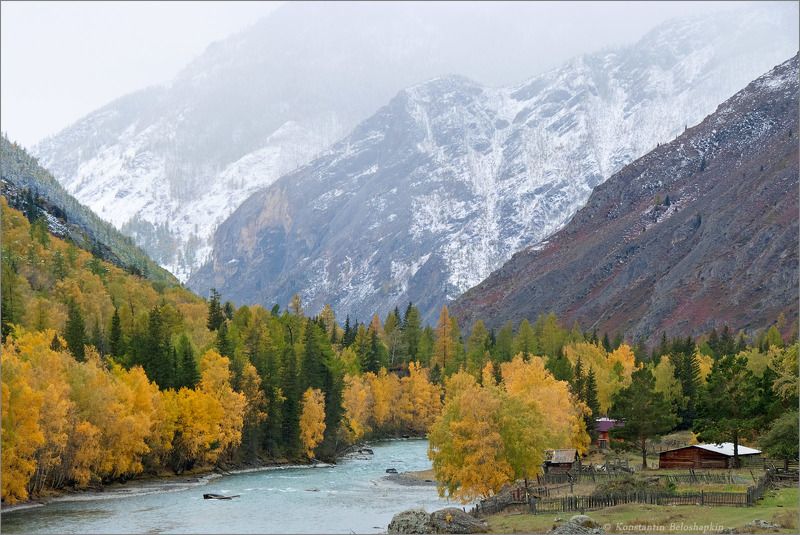 алтай, ер-балык, константин белошапкин, горы, чуя Ер-Балык фото превью