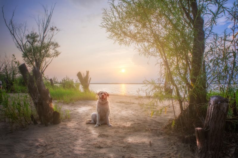 фото превью