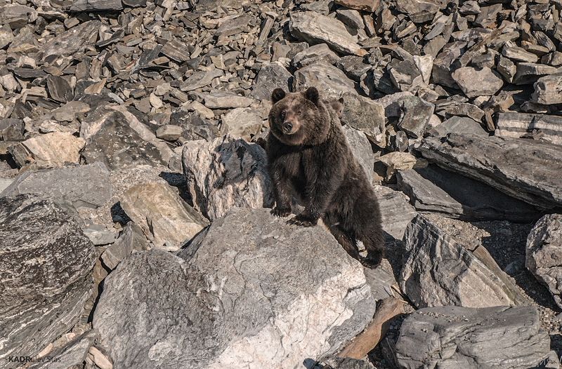Байкала + фото превью