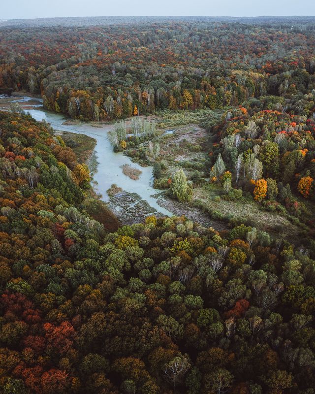 осенняя Воронка фото превью