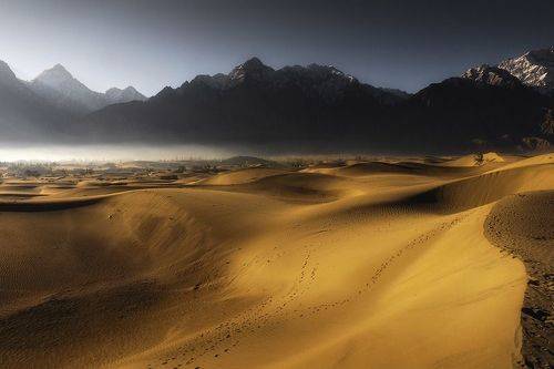 Deserted Dreams