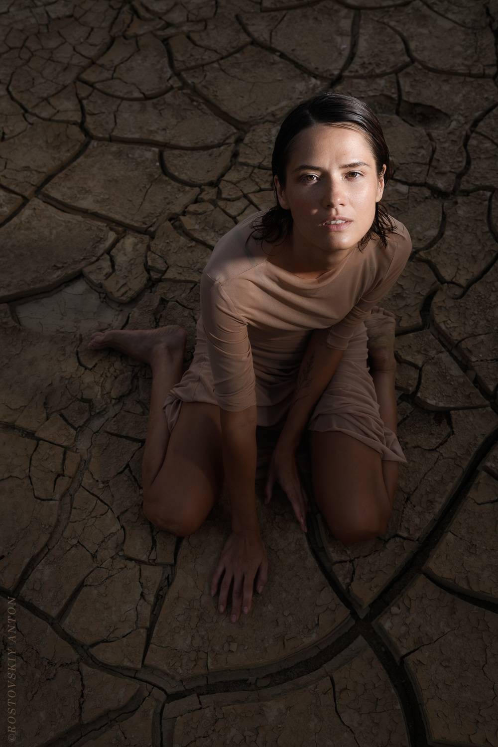 , Антон Ростовский