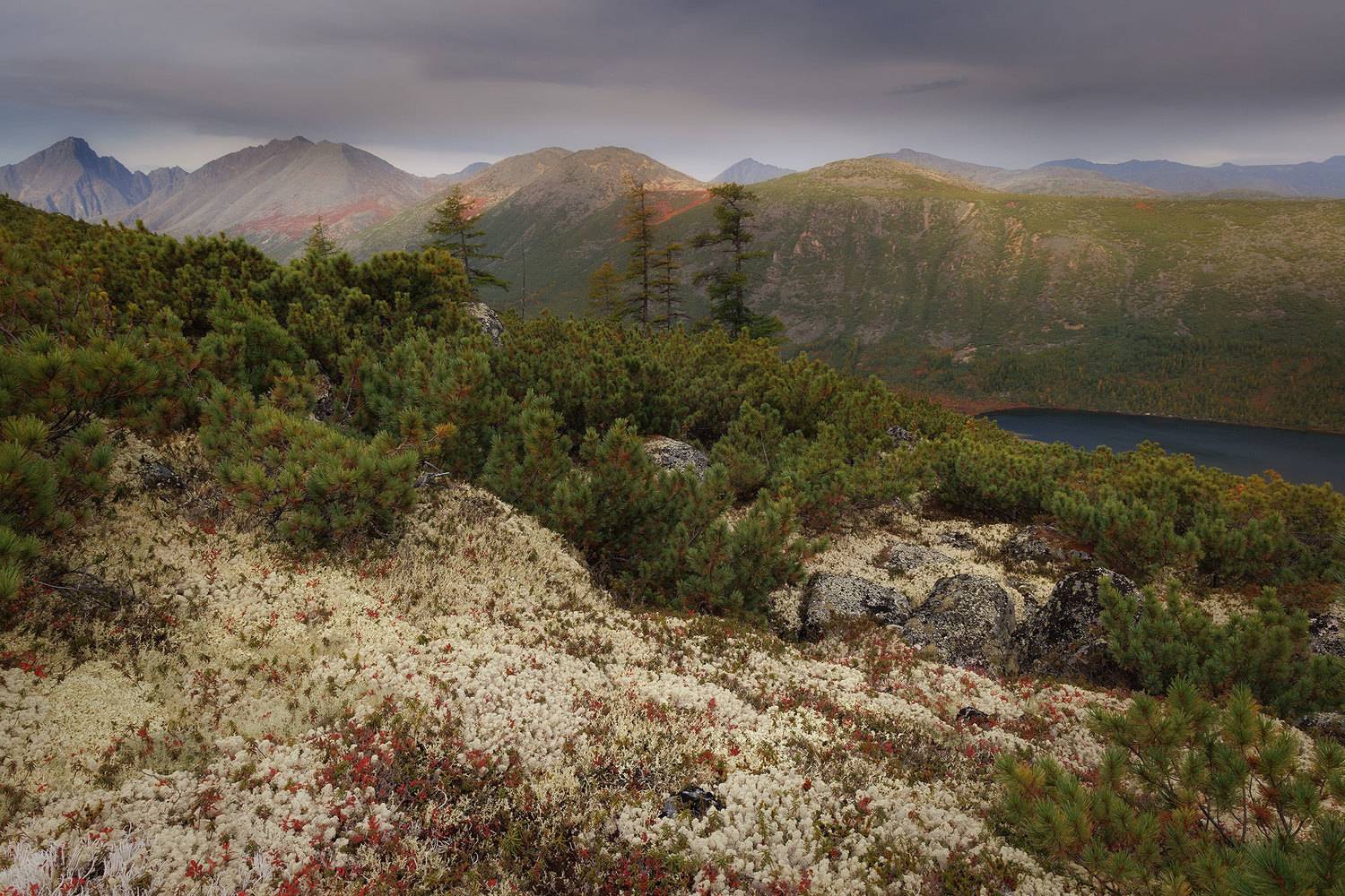 , Морозов Сергей