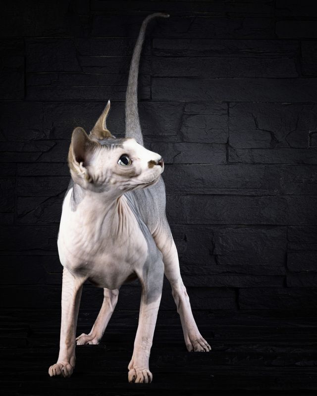 А меня зовут Филимон  фото превью