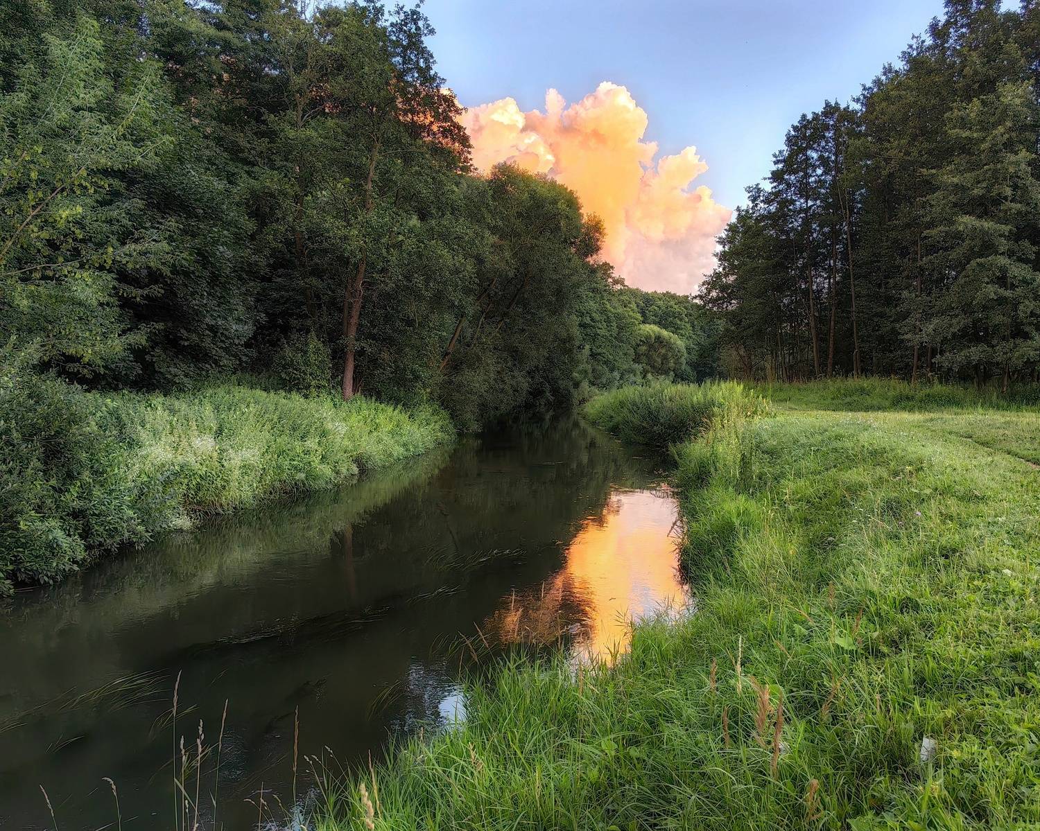 природа, пейзаж, река, лето, закат, лес, Хомастя Настя