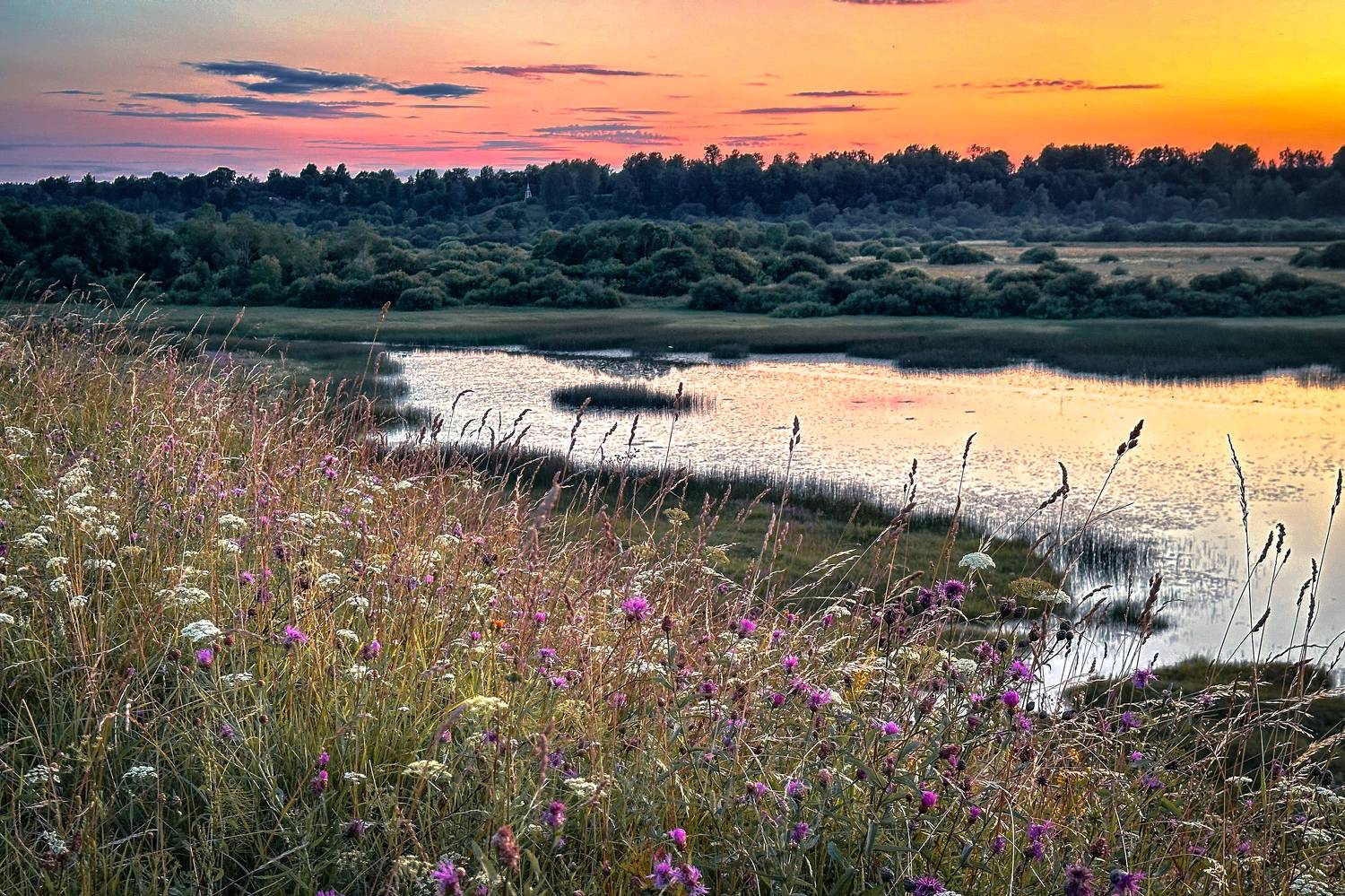 , Елена Герасимова