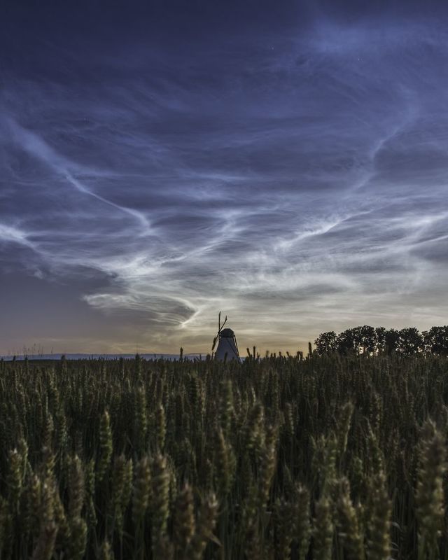 *** фото превью