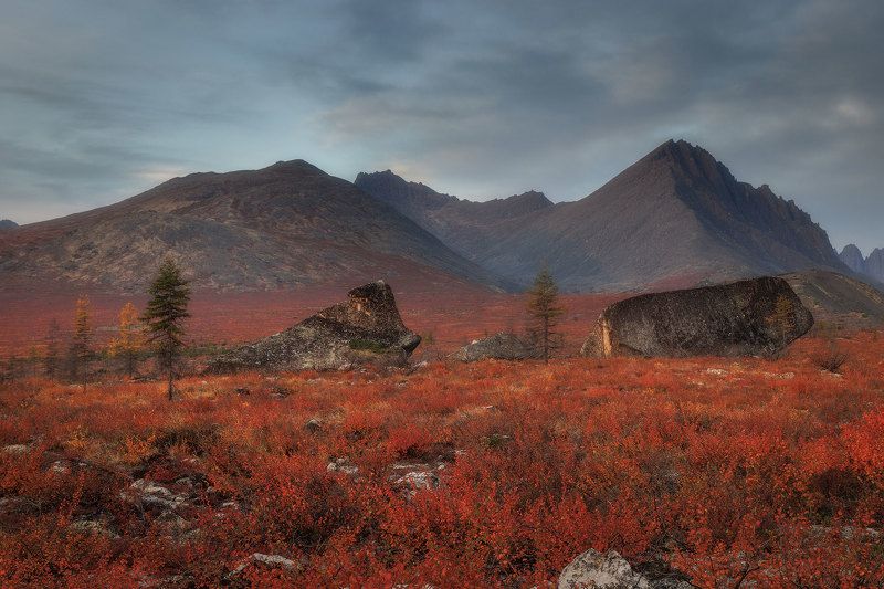 Колыма фото превью