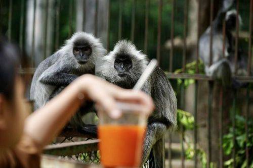 Кажется, это нам