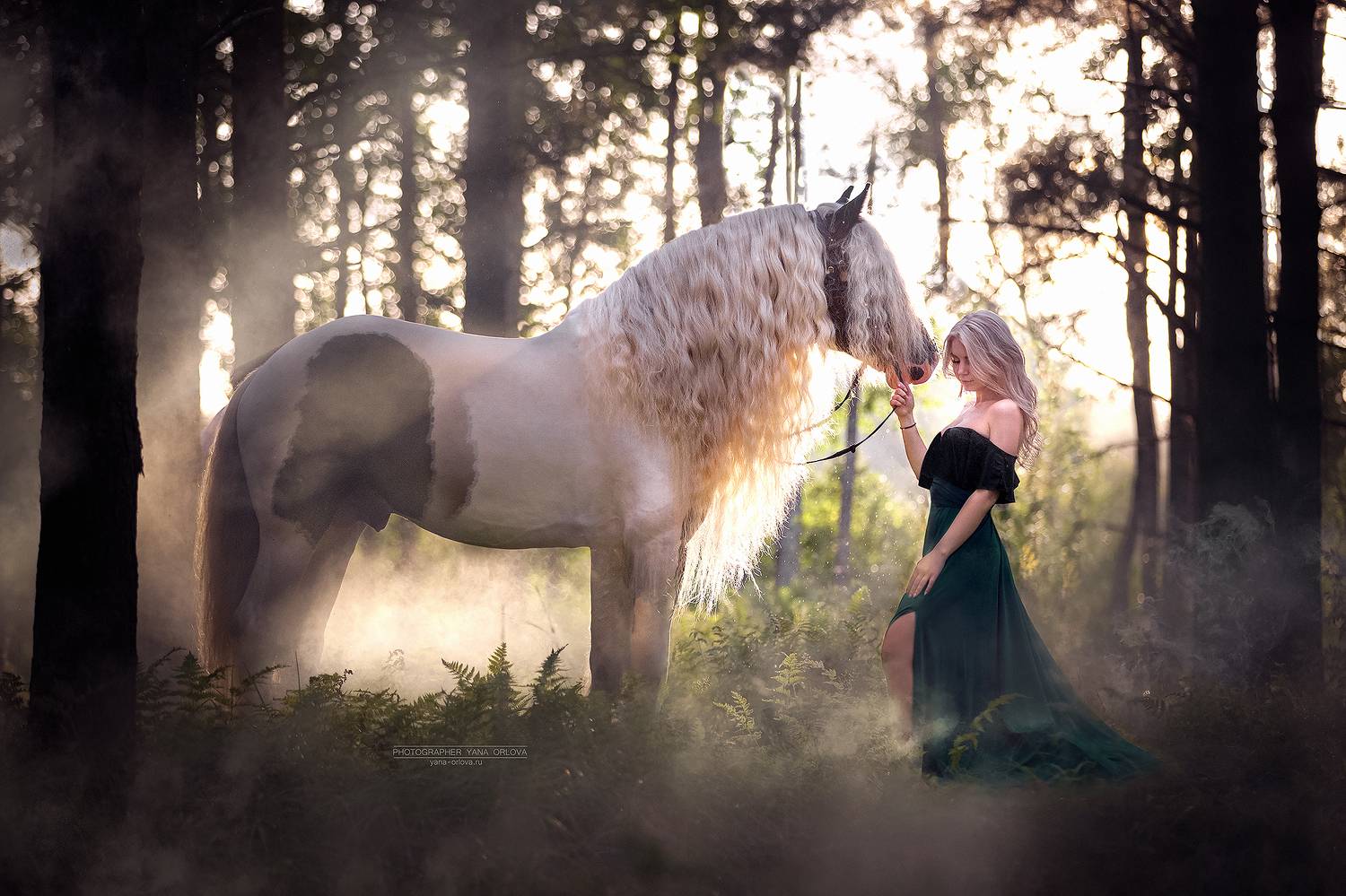 horse, horses, лошадь, конь, конный фотограф Яна Орлова, конныйфотограф, кэнон, canon, 7020028, лошади, фотографияслошадью, фотосессияслошадью, фотосессиислошадьми, коннаяфотография, pferd, horsephotographer, женский портрет, девушка , Яна Орлова