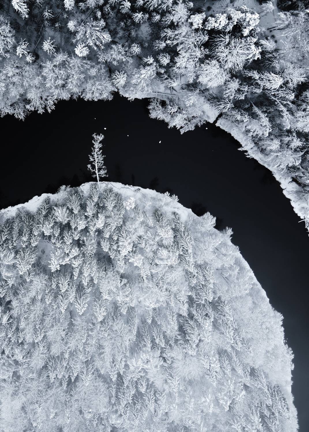 , Лутовкин Артём