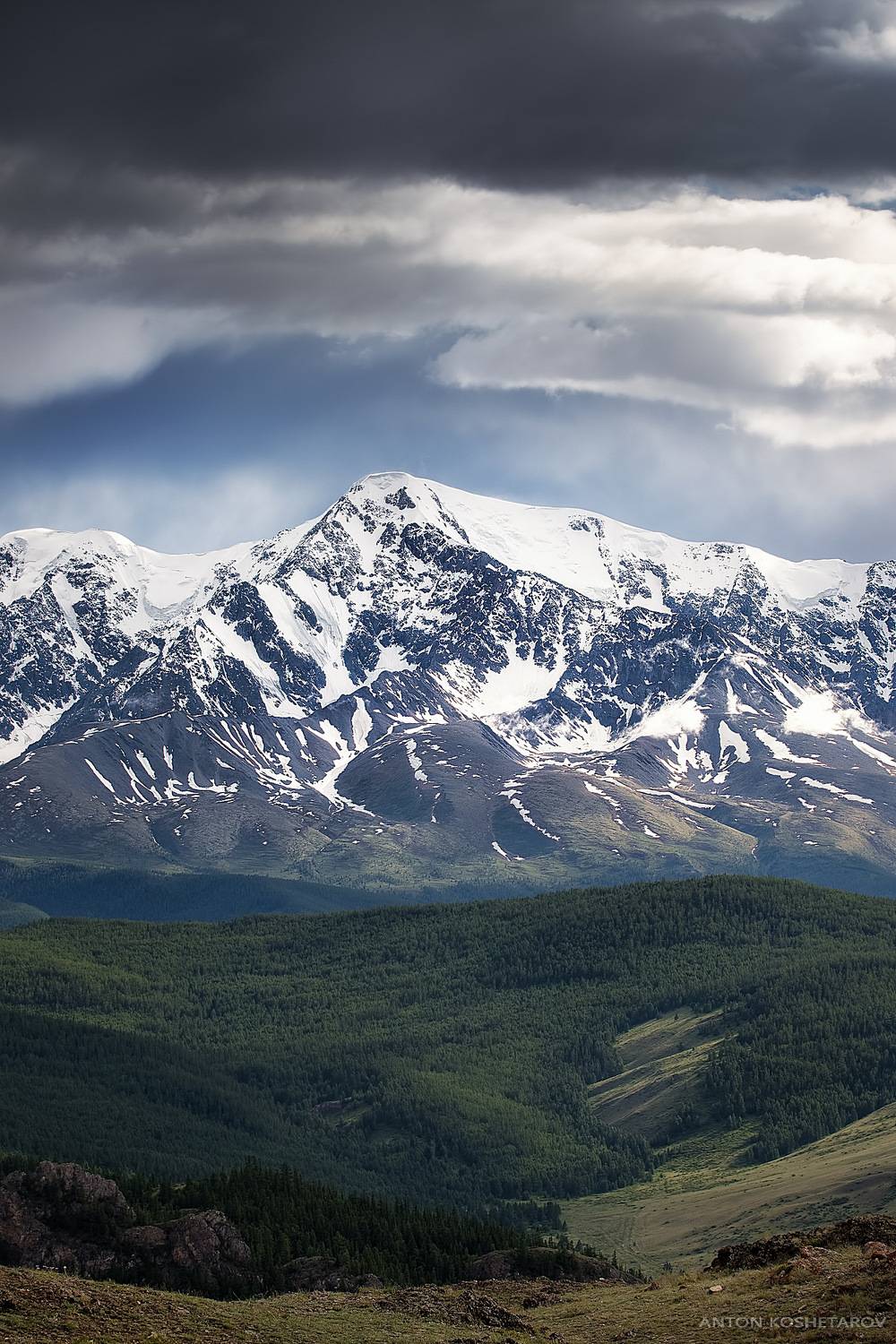 , Антон Кошетаров