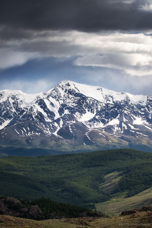 Алтай, Июнь 2024г фото превью