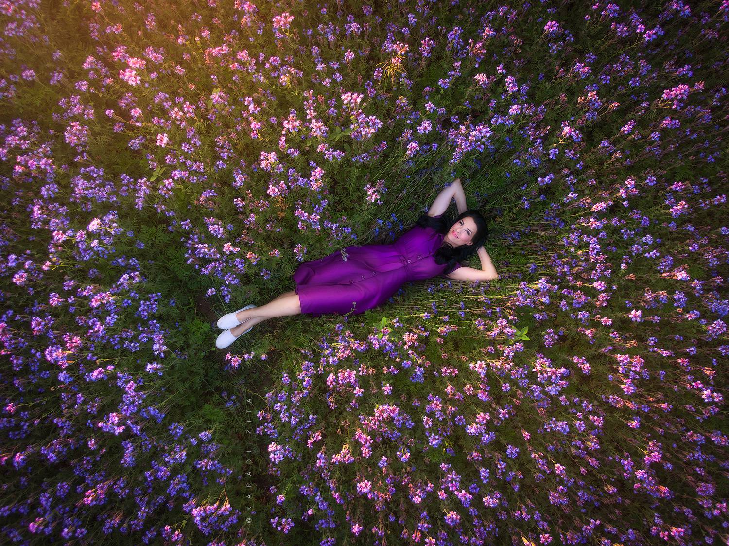 hungary, woman, flowers, purple, drone, air,, Kar&aacute;di Zita