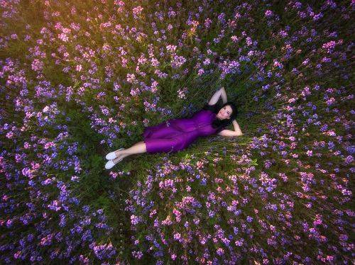 Lady In Purple