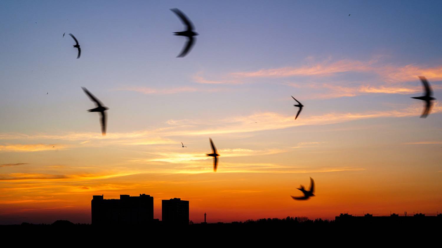 , Вертиков Юрий