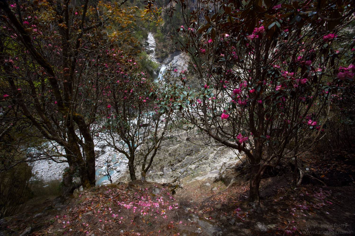 пейзажемагьё, пейзаж-как-виденье, Коваль Дмитр